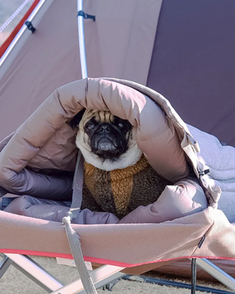 Dog Ofuton Sleeping Bag