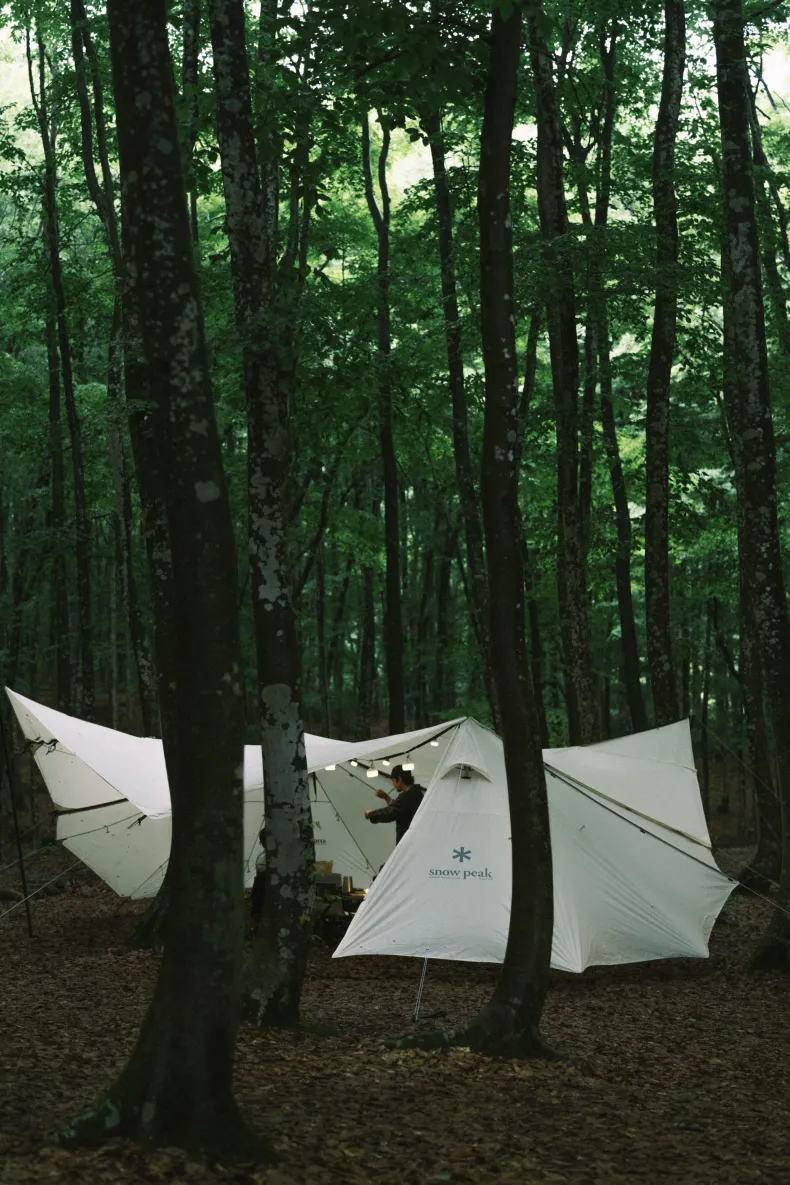 Land Station L Ivory