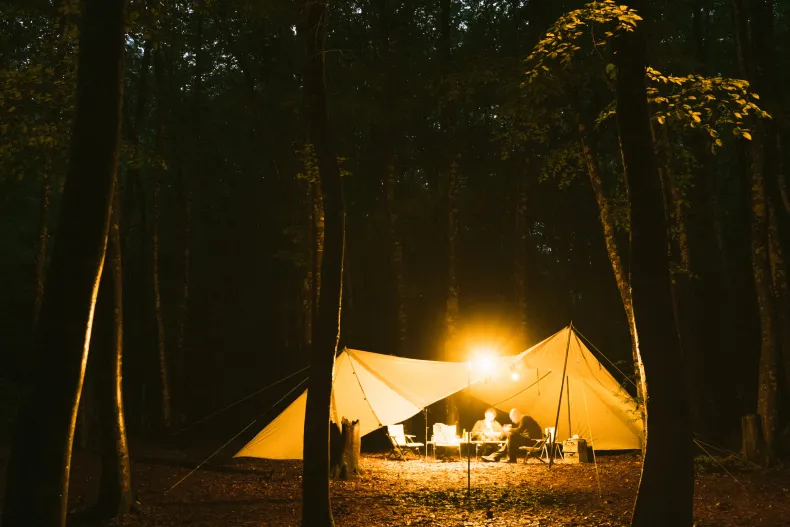 Land Station L Ivory