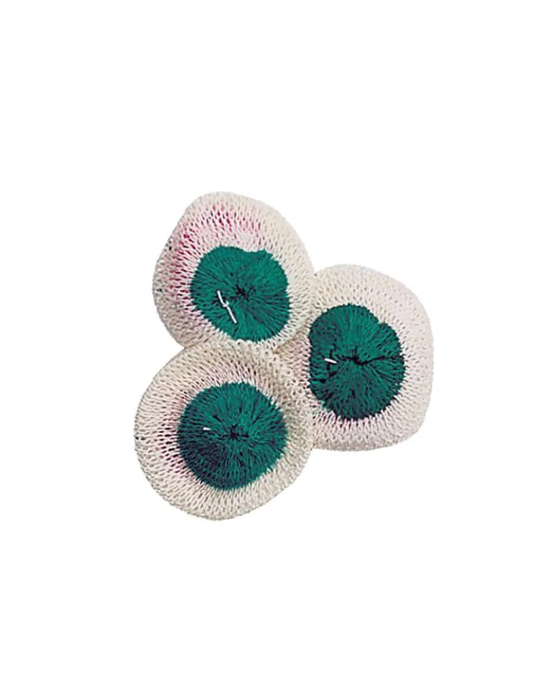 Small Lantern Mantles